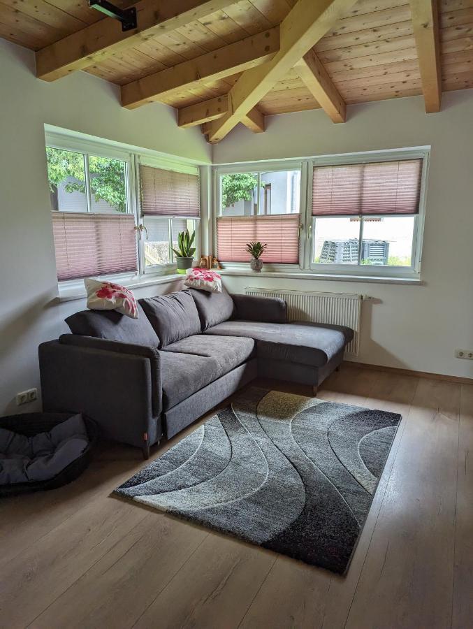 Ferienwohnung Trixi Hollersbach im Pinzgau Exterior foto